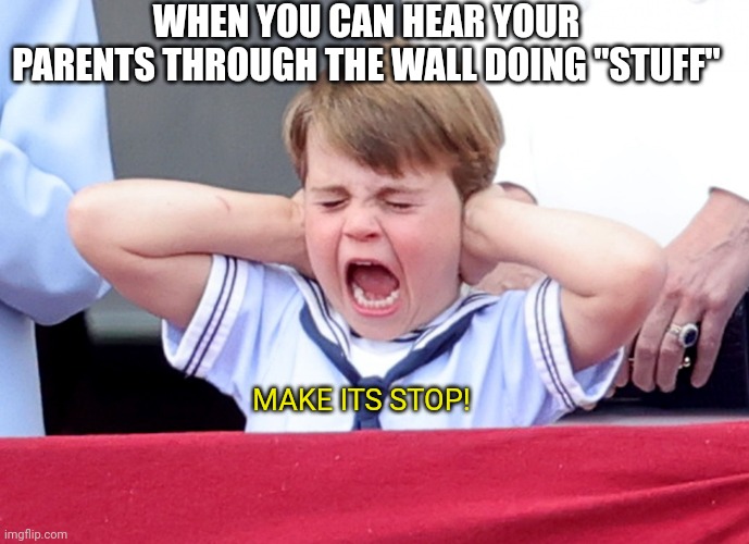 please dear God it took metal music to drown it out | WHEN YOU CAN HEAR YOUR PARENTS THROUGH THE WALL DOING "STUFF"; MAKE ITS STOP! | image tagged in prince louis scream,please make it stop | made w/ Imgflip meme maker