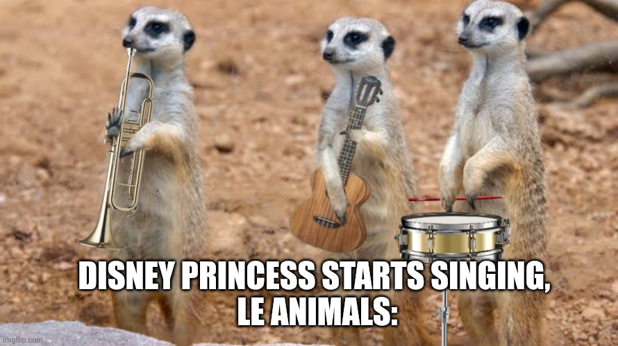 Just Disney things | DISNEY PRINCESS STARTS SINGING, 
LE ANIMALS: | image tagged in meerkat standing | made w/ Imgflip meme maker
