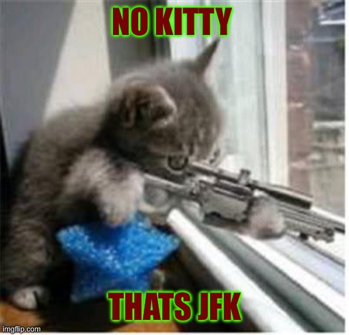 Noooo thats jfk | NO KITTY; THATS JFK | image tagged in cats with guns | made w/ Imgflip meme maker