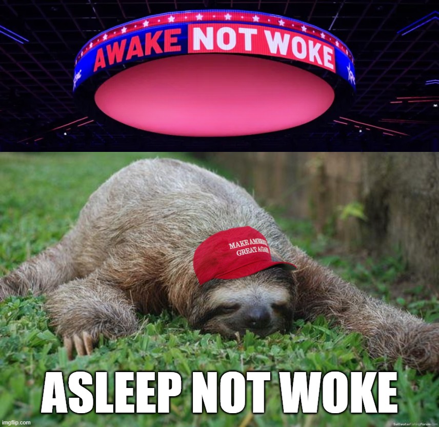 fixed it... | ASLEEP NOT WOKE | image tagged in maga,sloths,asleep,not,woke,ignorant | made w/ Imgflip meme maker