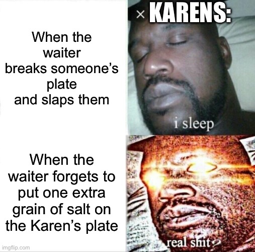 Sleeping Shaq |  KARENS:; When the waiter breaks someone’s plate and slaps them; When the waiter forgets to put one extra grain of salt on the Karen’s plate | image tagged in memes,sleeping shaq | made w/ Imgflip meme maker