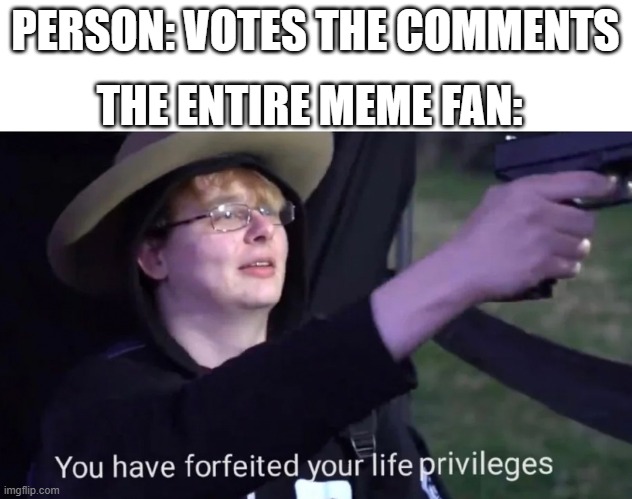 You have been voted an Imgflip comment | THE ENTIRE MEME FAN:; PERSON: VOTES THE COMMENTS | image tagged in you have forfeited life privileges,memes | made w/ Imgflip meme maker