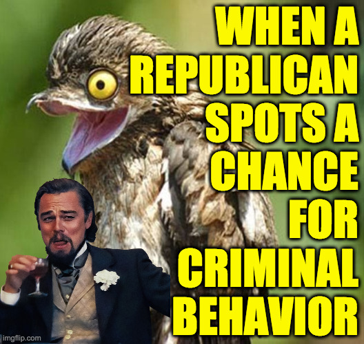 Not all Republicans, of course.  But almost all. | WHEN A
REPUBLICAN
SPOTS A
CHANCE
FOR
CRIMINAL
BEHAVIOR | image tagged in memes,republican,common potoo | made w/ Imgflip meme maker