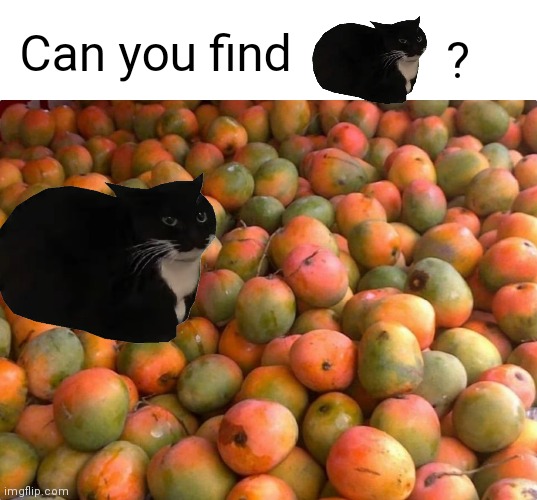 I can't find him :( | ? Can you find | made w/ Imgflip meme maker