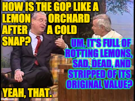 Let us all learn from their collapse. | HOW IS THE GOP LIKE A
LEMON         ORCHARD
AFTER          A COLD
SNAP? UM, IT'S FULL OF 
ROTTING LEMONS,
SAD, DEAD, AND 
STRIPPED OF ITS 
ORIGINAL VALUE? YEAH, THAT. | image tagged in rodney dangerfield on johnny carson,memes,gop,rotten | made w/ Imgflip meme maker