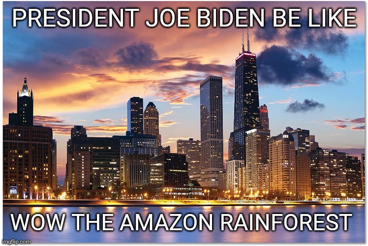 Biden humor | PRESIDENT JOE BIDEN BE LIKE; WOW THE AMAZON RAINFOREST | image tagged in funny memes | made w/ Imgflip meme maker