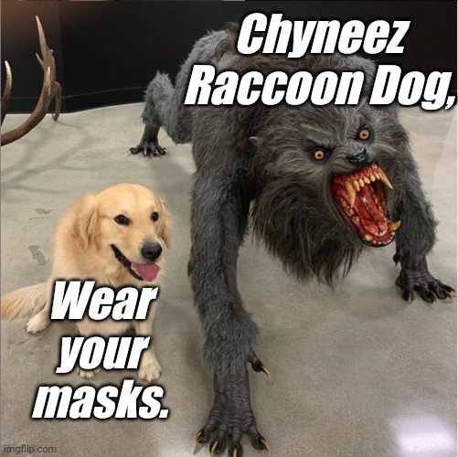 dog vs werewolf | Chyneez Raccoon Dog, Wear your masks. | image tagged in dog vs werewolf | made w/ Imgflip meme maker