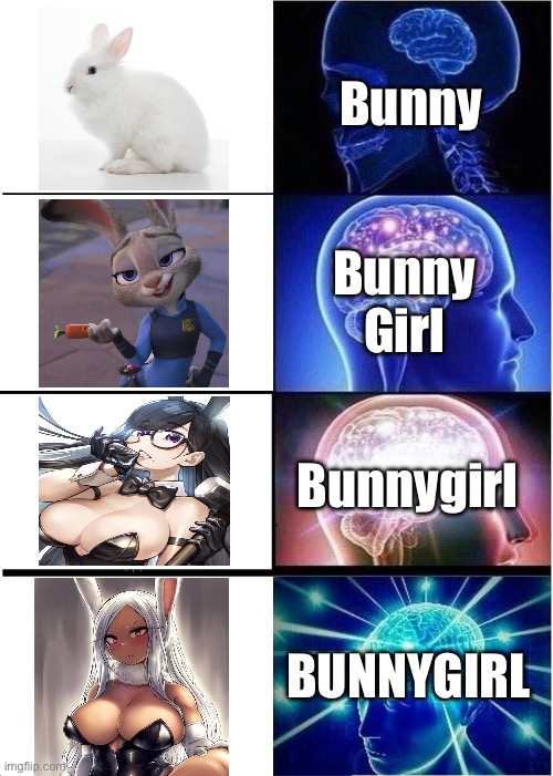 Bunnygirl Evolution | Bunny; Bunny Girl; Bunnygirl; BUNNYGIRL | image tagged in memes,expanding brain,bunny,art | made w/ Imgflip meme maker