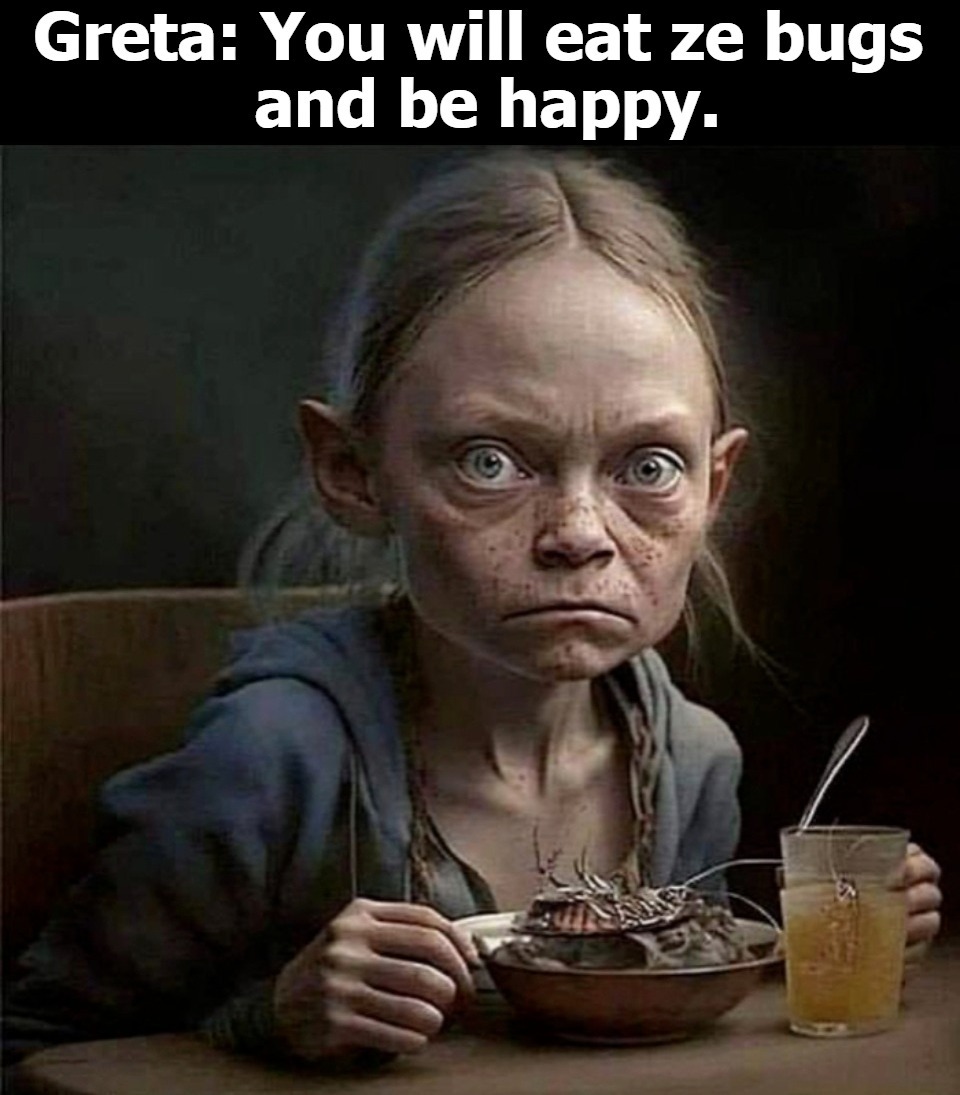 Greta: You will eat ze bugs
 and be happy. | image tagged in eat ze bugs and be happy,ecofascist greta thunberg,greta doucheberg,feminazi,bitches be like,bitch please | made w/ Imgflip meme maker