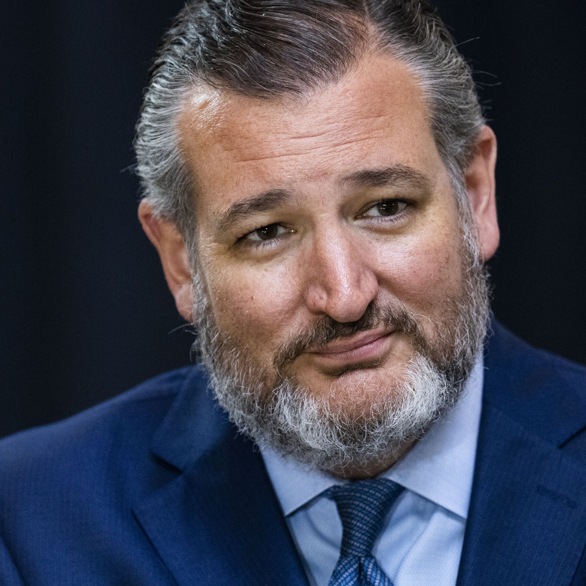 High Quality Ted 'The Beard' Cruz Blank Meme Template