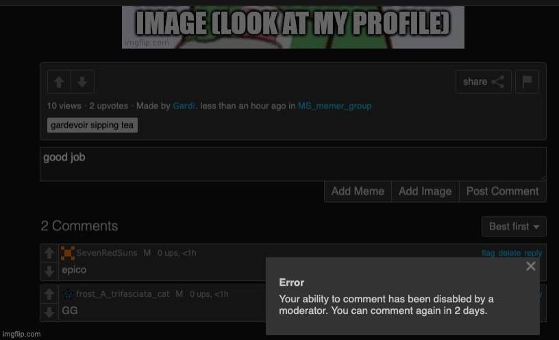 who comment banned me, I just want to know | made w/ Imgflip meme maker