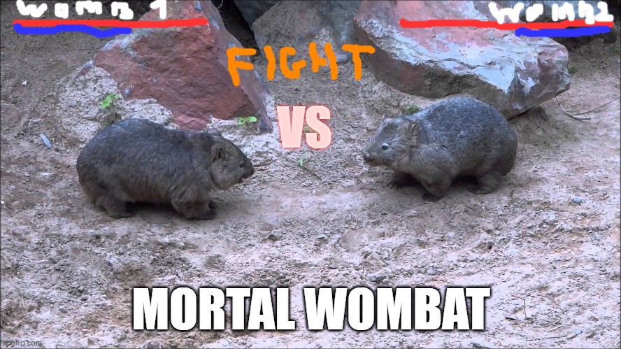 Mortal wombat | VS; MORTAL WOMBAT | image tagged in funny | made w/ Imgflip meme maker