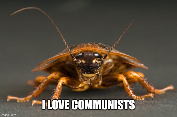 Cockroach | I LOVE COMMUNISTS | image tagged in cockroach | made w/ Imgflip meme maker