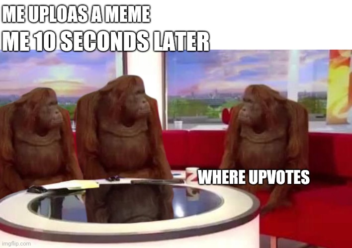 where monkey | ME 10 SECONDS LATER; ME UPLOAS A MEME; WHERE UPVOTES | image tagged in where monkey,upvote,funny,so true memes | made w/ Imgflip meme maker
