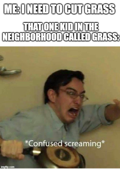 LOL XD | ME: I NEED TO CUT GRASS; THAT ONE KID IN THE NEIGHBORHOOD CALLED GRASS: | image tagged in confused screaming | made w/ Imgflip meme maker