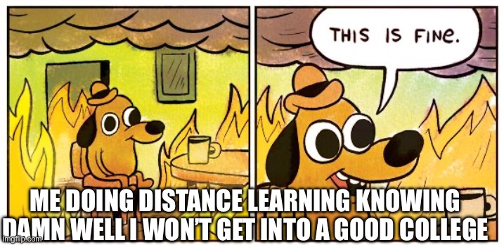 This Is Fine | ME DOING DISTANCE LEARNING KNOWING DAMN WELL I WON’T GET INTO A GOOD COLLEGE | image tagged in memes,this is fine | made w/ Imgflip meme maker