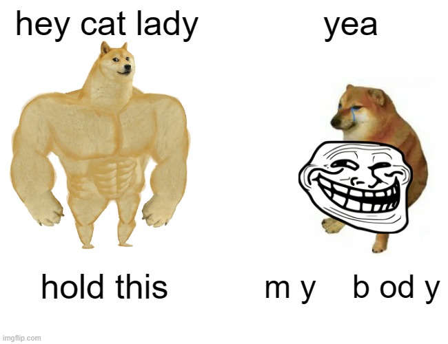 ??? | hey cat lady; yea; hold this; m y    b od y | image tagged in memes,buff doge vs cheems | made w/ Imgflip meme maker