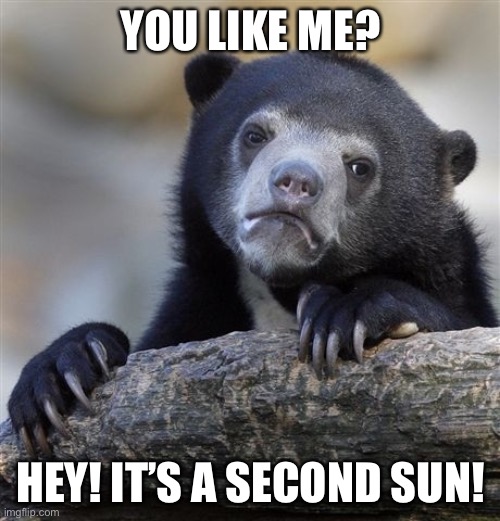 Confession Bear Meme | YOU LIKE ME? HEY! IT’S A SECOND SUN! | image tagged in memes,confession bear | made w/ Imgflip meme maker
