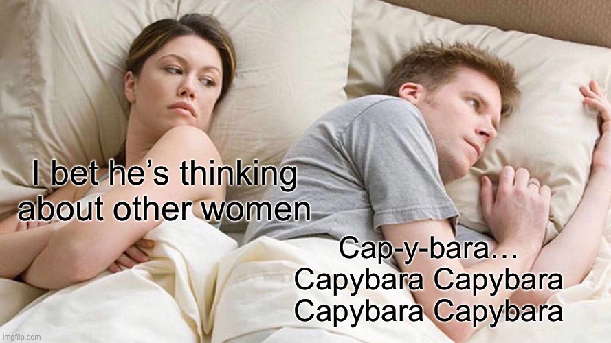 I Bet He's Thinking About Other Women Meme | I bet he’s thinking about other women; Cap-y-bara…
Capybara Capybara
Capybara Capybara | image tagged in memes,i bet he's thinking about other women,capybara,bed,couple in bed | made w/ Imgflip meme maker
