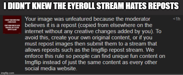 I DIDN'T KNEW THE EYEROLL STREAM HATES REPOSTS | image tagged in imgflip,memes,funny | made w/ Imgflip meme maker