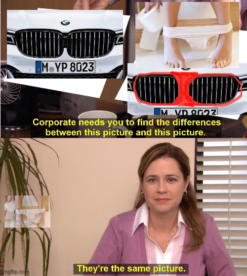 Bmw frontgrill = panties from pov toilet | image tagged in memes,they're the same picture | made w/ Imgflip meme maker