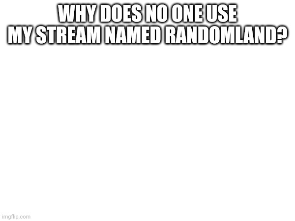 WHY DOES NO ONE USE MY STREAM NAMED RANDOMLAND? | image tagged in question | made w/ Imgflip meme maker