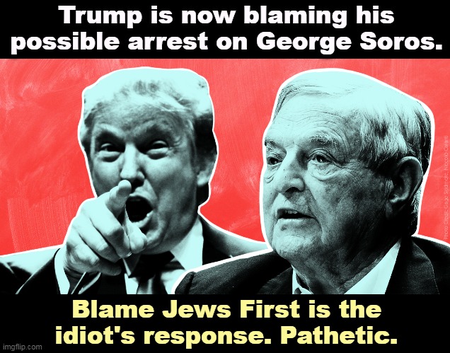 Trump's troubles are nobody's fault but his own. But he's not grown-up enough to take responsibility for his own actions. | Trump is now blaming his possible arrest on George Soros. Blame Jews First is the idiot's response. Pathetic. | image tagged in george soros,donald trump,anti-semite and a racist,incompetence,career,criminal | made w/ Imgflip meme maker