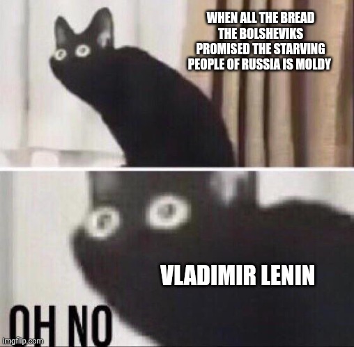 All the bread is moldy, looks like there's no more Russian revolution | WHEN ALL THE BREAD THE BOLSHEVIKS PROMISED THE STARVING PEOPLE OF RUSSIA IS MOLDY; VLADIMIR LENIN | image tagged in oh no cat | made w/ Imgflip meme maker