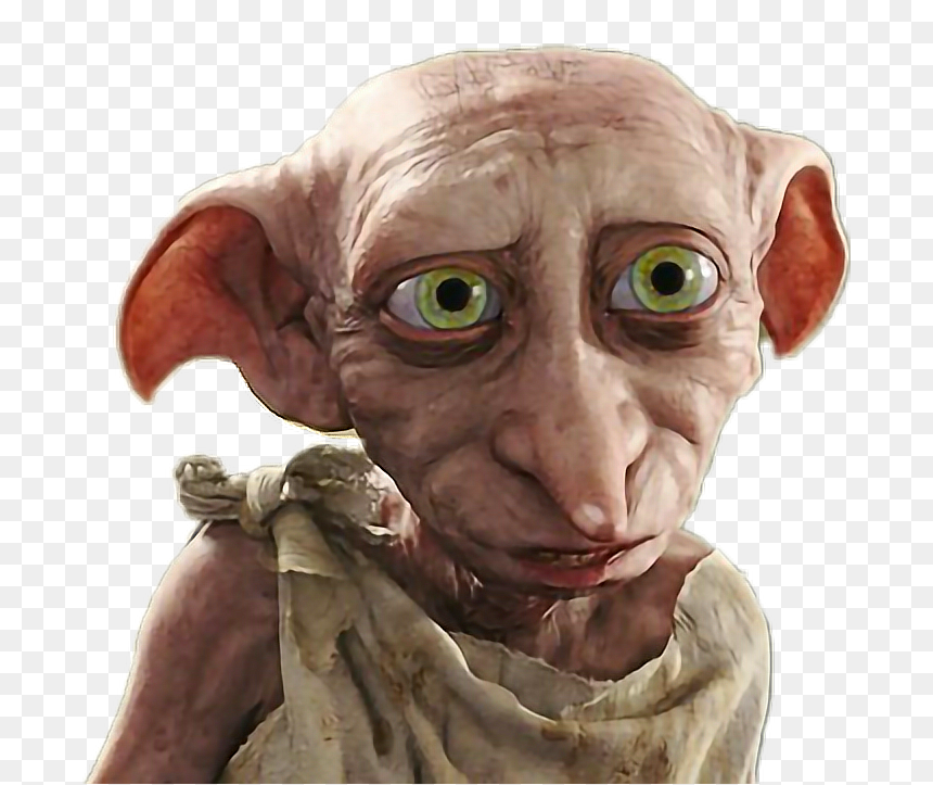 High Quality Dobby Blank Meme Template