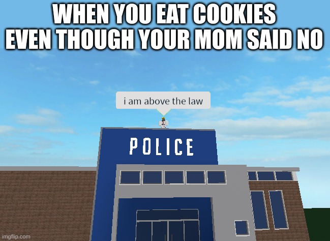 I am above the law | WHEN YOU EAT COOKIES EVEN THOUGH YOUR MOM SAID NO | image tagged in i am above the law | made w/ Imgflip meme maker