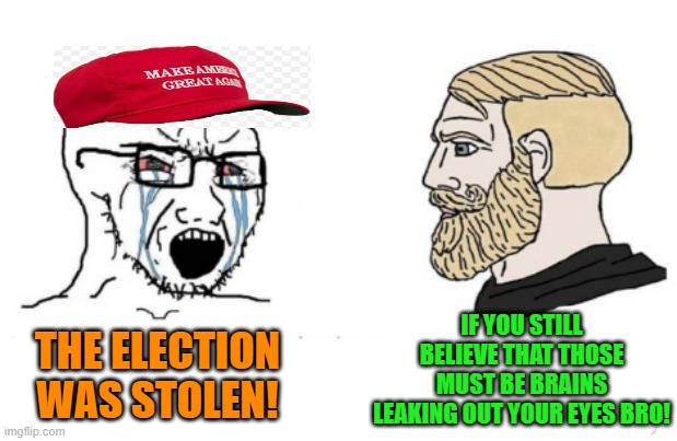 Are we still doing this? | IF YOU STILL BELIEVE THAT THOSE MUST BE BRAINS LEAKING OUT YOUR EYES BRO! THE ELECTION WAS STOLEN! | image tagged in memes,politics,lol | made w/ Imgflip meme maker