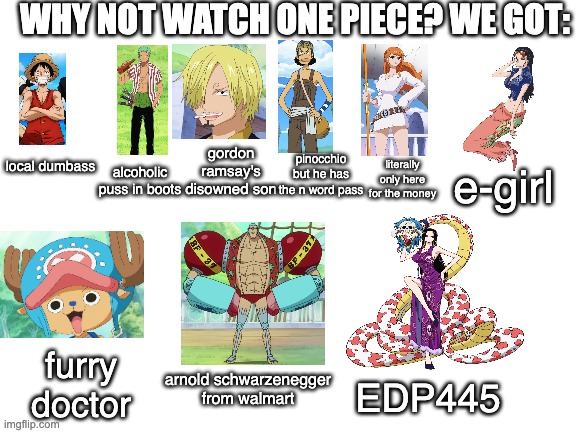 one piece is amazing ???? | WHY NOT WATCH ONE PIECE? WE GOT:; gordon ramsay's disowned son; pinocchio but he has the n word pass; e-girl; local dumbass; literally only here for the money; alcoholic puss in boots; furry doctor; arnold schwarzenegger from walmart; EDP445 | image tagged in blank white template,one piece,funny,meme,luffy,anime | made w/ Imgflip meme maker