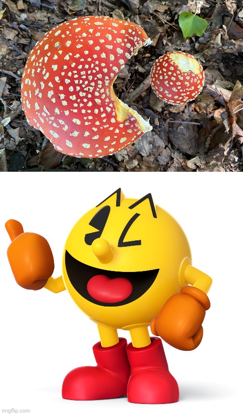 Mushroom Pac-Man | image tagged in pac man,pac-man,gaming,memes,mushroom,mushrooms | made w/ Imgflip meme maker