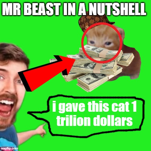 mr beast be like | MR BEAST IN A NUTSHELL; i gave this cat 1
trilion dollars | image tagged in mrbeast | made w/ Imgflip meme maker