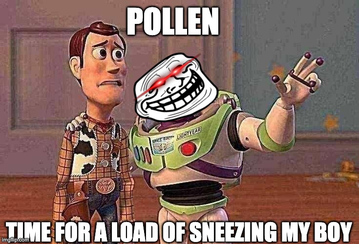 Ngl this happens to me every spring and it contines into the summer | POLLEN; TIME FOR A LOAD OF SNEEZING MY BOY | image tagged in memes,x x everywhere | made w/ Imgflip meme maker