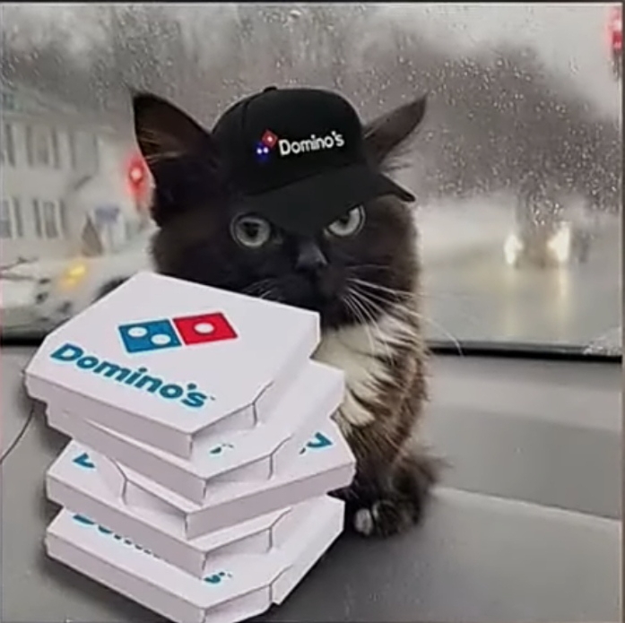 High Quality dominos cat Blank Meme Template