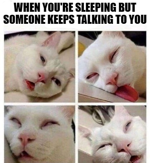 Good morning MSMG! | WHEN YOU'RE SLEEPING BUT SOMEONE KEEPS TALKING TO YOU | image tagged in good morning,kewlew | made w/ Imgflip meme maker