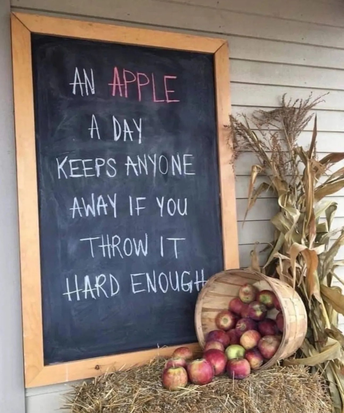High Quality An apple a day Blank Meme Template