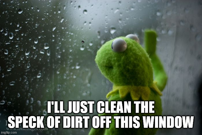 kermit window | I'LL JUST CLEAN THE SPECK OF DIRT OFF THIS WINDOW | image tagged in kermit window | made w/ Imgflip meme maker