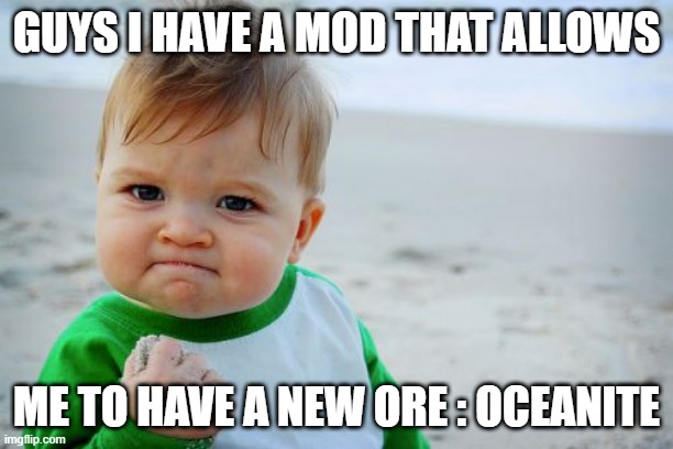i didnt tried it yet so i dont know if it really works but i'll see | GUYS I HAVE A MOD THAT ALLOWS; ME TO HAVE A NEW ORE : OCEANITE | image tagged in memes,success kid original,minecraft,video games,gaming | made w/ Imgflip meme maker