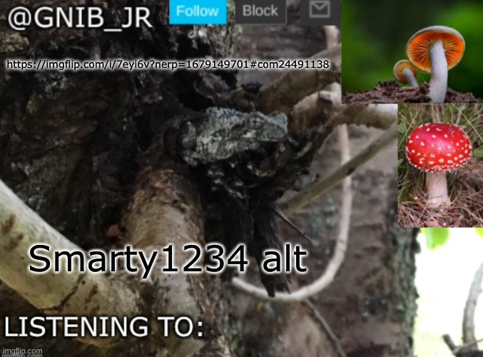 raid his comments with weird and stupid shit | https://imgflip.com/i/7eyi6v?nerp=1679149701#com24491138; Smarty1234 alt | image tagged in gnib_jr's new temp | made w/ Imgflip meme maker