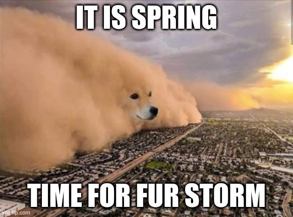 Dust Doge Storm | IT IS SPRING; TIME FOR FUR STORM | image tagged in dust doge storm | made w/ Imgflip meme maker