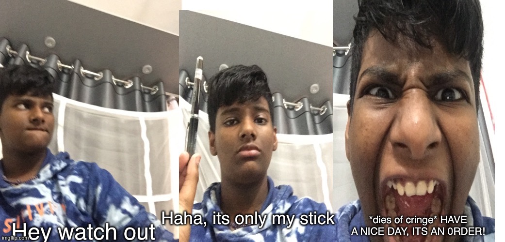 Yeeeee | Haha, its only my stick; Hey watch out; *dies of cringe* HAVE A NICE DAY, ITS AN 0RDER! | image tagged in behold my stick,jsbv,sami,damn | made w/ Imgflip meme maker