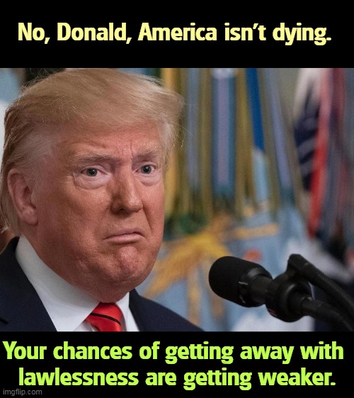 Oh, pity pity me. Pity pity pity pity pity me. | No, Donald, America isn't dying. Your chances of getting away with 

lawlessness are getting weaker. | image tagged in donald trump - dilated eyes,america,strong,donald trump,weak,criminal | made w/ Imgflip meme maker