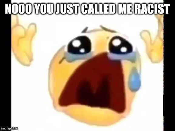 cursed crying emoji | NOOO YOU JUST CALLED ME RACIST | image tagged in cursed crying emoji | made w/ Imgflip meme maker