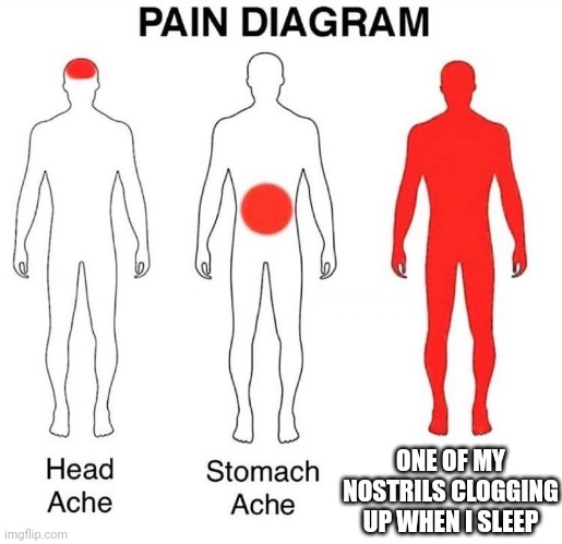 Facts fr | ONE OF MY NOSTRILS CLOGGING UP WHEN I SLEEP | image tagged in pain diagram | made w/ Imgflip meme maker
