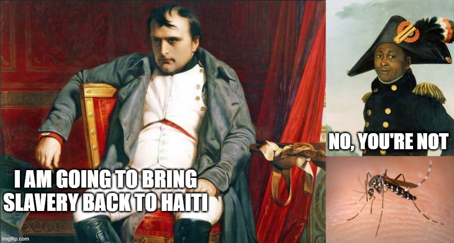 Oh Napoleon | NO, YOU'RE NOT; I AM GOING TO BRING SLAVERY BACK TO HAITI | image tagged in napoleon,toussaint louverture,mosquito | made w/ Imgflip meme maker