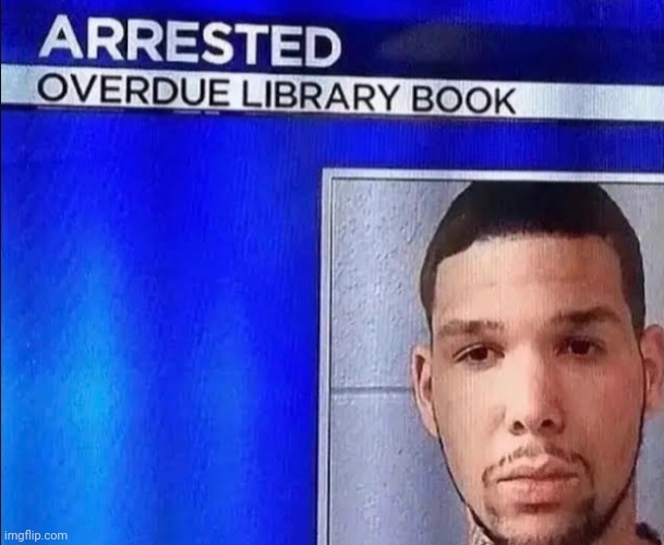 Library | image tagged in memes | made w/ Imgflip meme maker