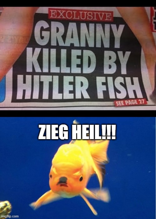 Der Fuhrer Fish | ZIEG HEIL!!! | image tagged in headlines | made w/ Imgflip meme maker