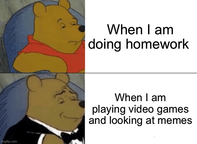 Tuxedo Winnie The Pooh Meme | When I am doing homework; When I am playing video games and looking at memes | image tagged in memes,tuxedo winnie the pooh | made w/ Imgflip meme maker